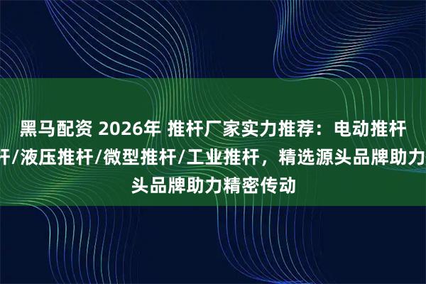 黑马配资 2026年 推杆厂家实力推荐：电动推杆/防爆推杆/液压推杆/微型推杆/工业推杆，精选源头品牌助力精密传动