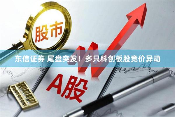 东信证券 尾盘突发！多只科创板股竞价异动