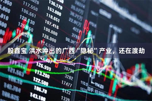 股鑫宝 洪水冲出的广西“隐秘”产业，还在渡劫