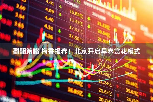 翻翻策略 梅香报春!北京开启早春赏花模式