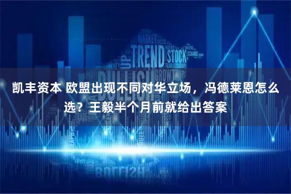凯丰资本 欧盟出现不同对华立场，冯德莱恩怎么选？王毅半个月前就给出答案