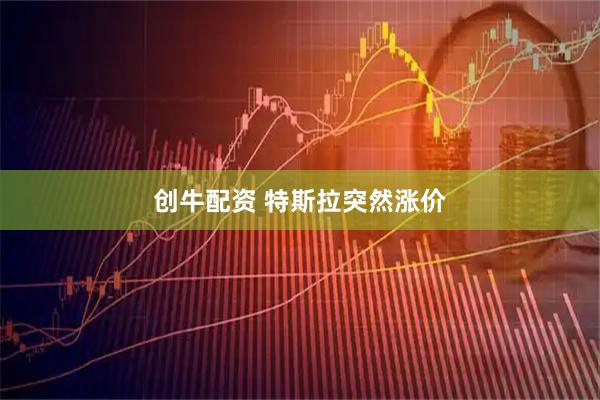 创牛配资 特斯拉突然涨价