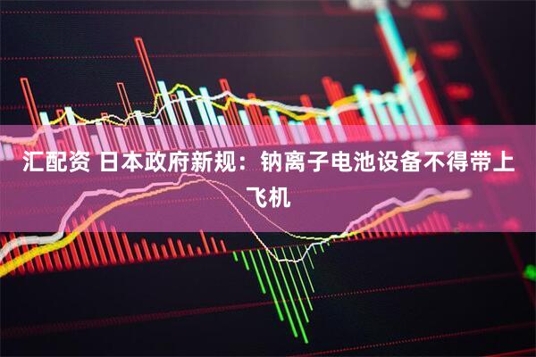 汇配资 日本政府新规：钠离子电池设备不得带上飞机