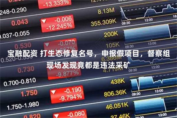 宝融配资 打生态修复名号，申报假项目，督察组现场发现竟都是违法采矿