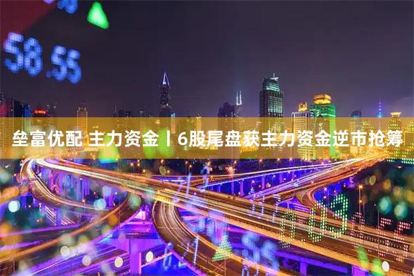 垒富优配 主力资金丨6股尾盘获主力资金逆市抢筹