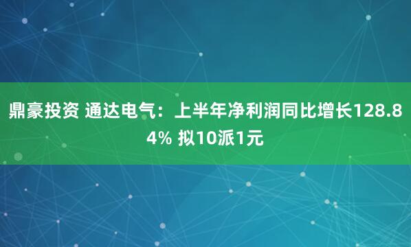 鼎豪投资 通达电气:上半年净利润同比增长128.84% 拟10派1元